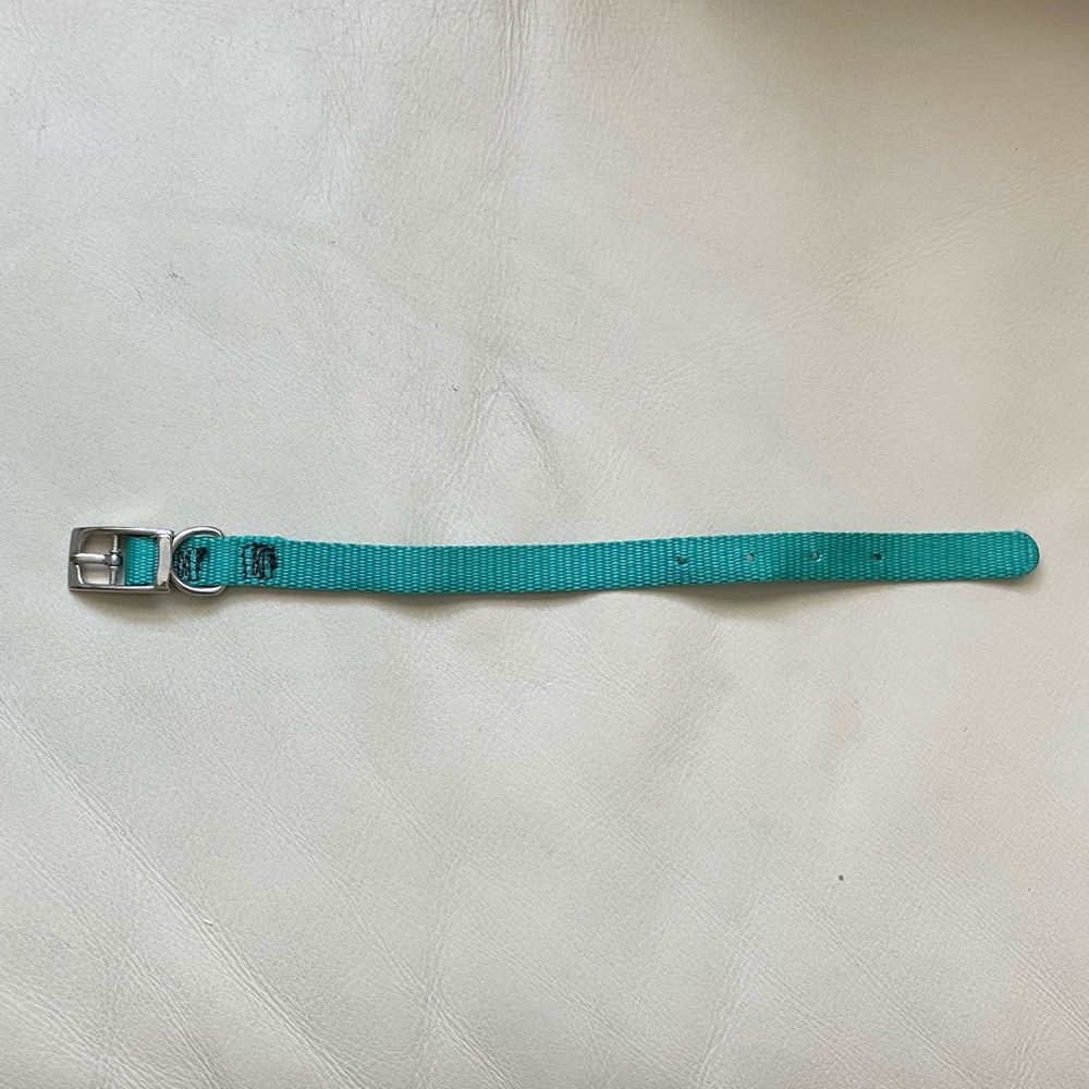 Small Dog Collar; Teal; approx. 10”